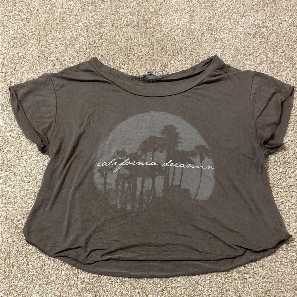 American Eagle Outfitters Gray Graphic Crop Tee